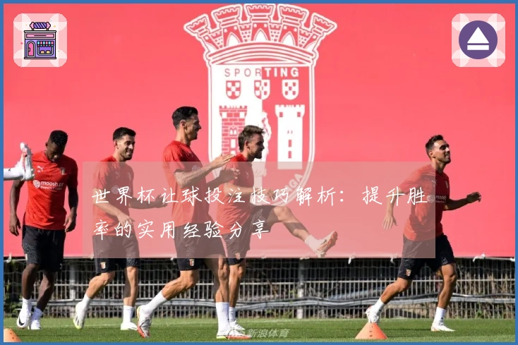 世界杯让球投注技巧解析：提升胜率的实用经验分享