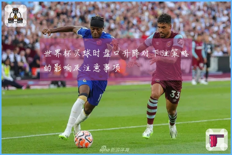世界杯买球时盘口升降对下注策略的影响及注意事项