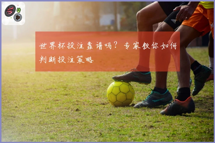 世界杯投注靠谱吗？专家教你如何判断投注策略