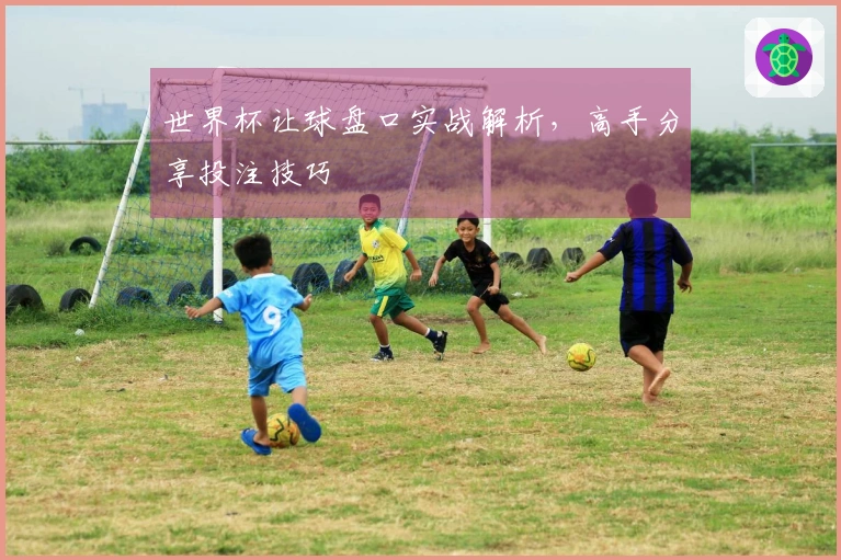 世界杯让球盘口实战解析，高手分享投注技巧