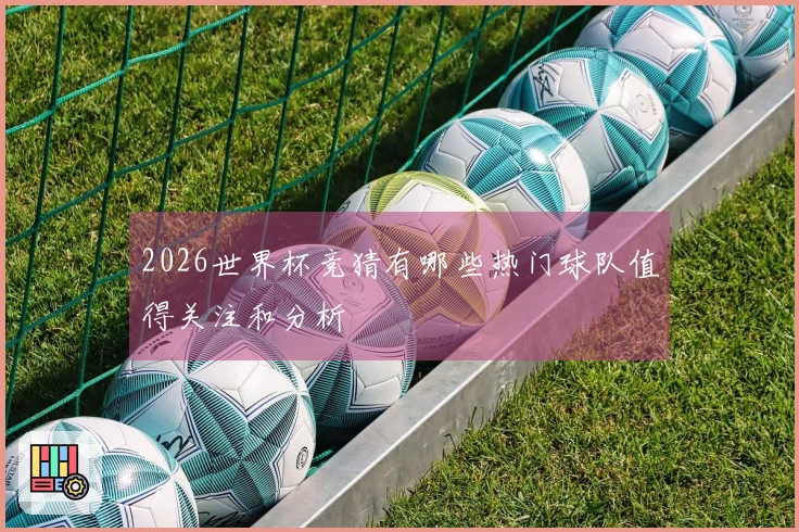 2026世界杯竞猜有哪些热门球队值得关注和分析