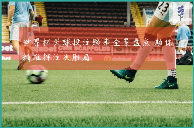 世界杯买球投注赔率全景盘点 助你精准押注决胜局